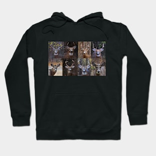 Magnificent Eight - White-tailed Deer Hoodie